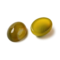 Natural Agate Cabochons&nbsp;G-P521-03B-02