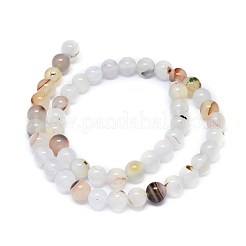Natural Dendritic Agate Beads Strands&nbsp;G-D0005-18-8mm