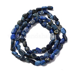 Natural Lapis Lazuli Beads Strands&nbsp;G-I389-A05