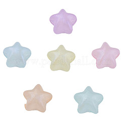 Rainbow Iridescent Plating Acrylic Beads&nbsp;CACR-N006-13-B01