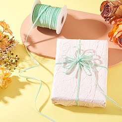 Velvet Ribbon&nbsp;OCOR-TAC0038-08H