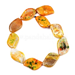 Dyed Natural Agate Beads Strands&nbsp;G-U029-I01