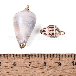 Electroplate Natural Spiral Shell Pendants&nbsp;SSHEL-Q100-43G