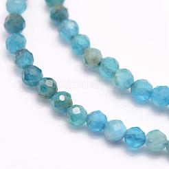 Natural Apatite Beads Strands&nbsp;G-F509-17-3mm