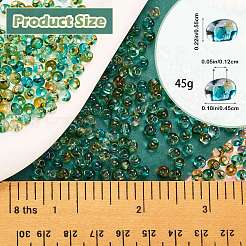 45G Transparent Baking Paint Glass Seed Beads&nbsp;SEED-SZ0001-028C