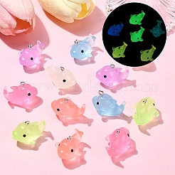 12Pcs 6 Colors Luminous Translucent Resin Pendants&nbsp;RESI-YW0001-85
