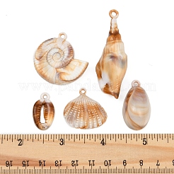 25Pcs 5 Styles Acrylic Big Pendants&nbsp;OACR-FP0001-36