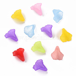 Transparent Acrylic Bead Caps&nbsp;PL551M