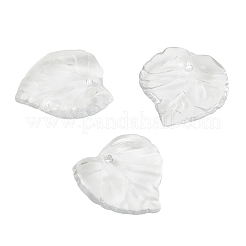Transparent Acrylic Pendants&nbsp;TACR-TA0001-01