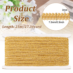 25M Polyester Centipede Ribbon&nbsp;OCOR-WH0078-94A
