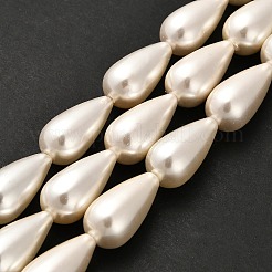 Electroplate Shell Pearl Beads Strands&nbsp;BSHE-G010-10x20mm-01