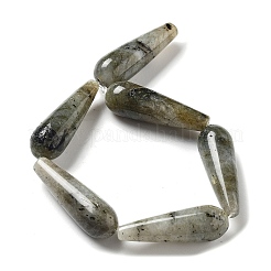 Natural Labradorite Beads Strands&nbsp;G-P528-H04-01