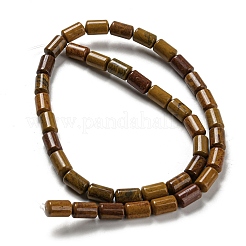 Natural Petrified Wood Beads Strands&nbsp;G-M420-E06-03
