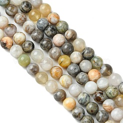Natural Bamboo Leaf Agate Round Bead Strands&nbsp;G-M248-6mm-04