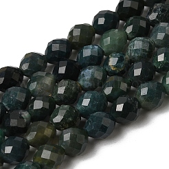 Natural Moss Agate Beads Strands&nbsp;G-K376-F16-01