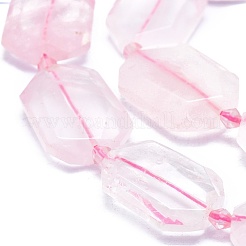 Natural Rose Quartz Beads Strands&nbsp;G-O179-F06