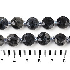 Natural Larvikite Beads Strands&nbsp;G-C116-A45-01