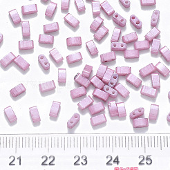 FGB 2-Hole Baking Paint Glass Seed Beads&nbsp;SEED-S031-M-599