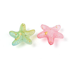 Frosted Transparent Acrylic Beads&nbsp;FACR-T007-03