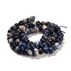 Natural Sodalite Beads Strands&nbsp;G-G053-C04-01