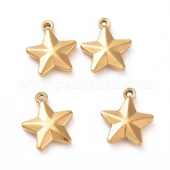 201 Stainless Steel Charms&nbsp;X-STAS-G081-09G