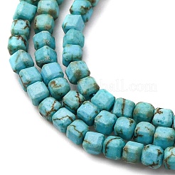 Natural Howlite Beads Strands&nbsp;G-B142-C04-2x2mm