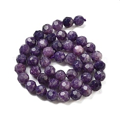 Natural Lepodolite Beads Strands&nbsp;G-C150-B03-01