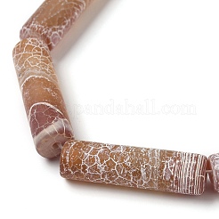 Natural Weathered Agate Beads Strands&nbsp;G-Q169-A04-01