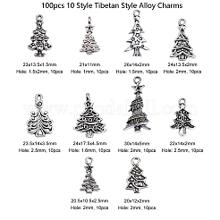 100pcs 10 Style Tibetan Style Alloy Charms&nbsp;TIBEP-CJ0001-40