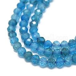 Natural Apatite Beads Strands&nbsp;G-G106-C06-01
