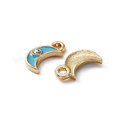 Zinc Alloy Enamel Charms&nbsp;ENAM-TAC0002-52E