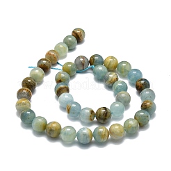 Natural Blue Calcite Beads Strands&nbsp;G-E576-09C