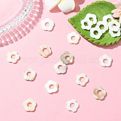 20Pcs Freshwater Shell Beads Frames&nbsp;SHEL-YW0001-08