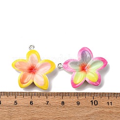 Opaque Resin Pendants&nbsp;RESI-A046-05E
