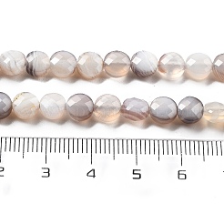 Natural Botswana Agate Beads Strands&nbsp;G-C179-A18-02