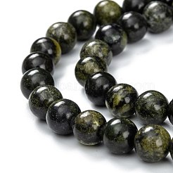 Natural Serpentine Beads Strands&nbsp;G-F709-01