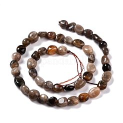 Natural Black Sunstone Beads Strands&nbsp;G-G018-03A