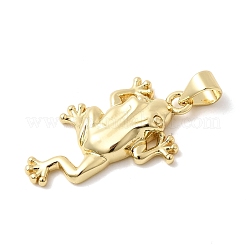Frog Charms Brass Pendants&nbsp;KK-H529-48G