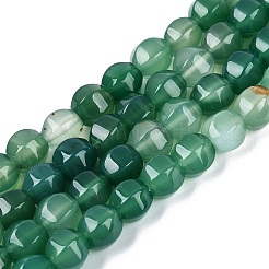 Natural Green Onyx Agate Beads Strands&nbsp;G-Q608-08A-03