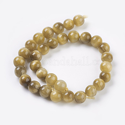 Natural Gold Tiger Eye Beads Strands&nbsp;G-C076-6mm-1AA