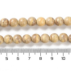 Natural Rainbow Alashan Agate Beads Strands&nbsp;G-NH0022-A-02
