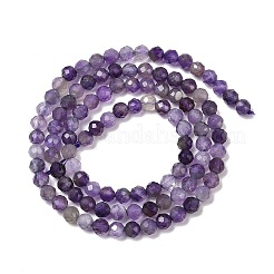 Natural Amethyst Beads Strands&nbsp;G-A252-A03-01