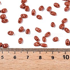 Baking Paint Glass Seed Beads&nbsp;SEED-T006-03T