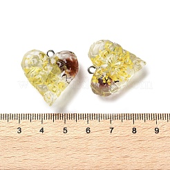Inner Dried Flower Transparent Resin Pendants&nbsp;LS-RESI-A043-03B