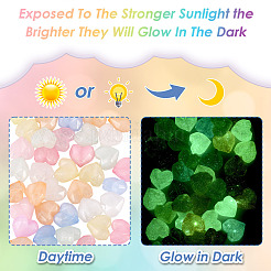 Luminous Transparent Acrylic Beads&nbsp;LACR-TA0001-07A