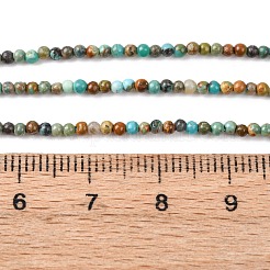 Natural African Turquoise(Jasper) Beads Strands&nbsp;G-K366-G01-2mm