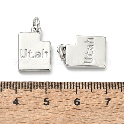 Brass Pendants&nbsp;KK-D229-22C-P