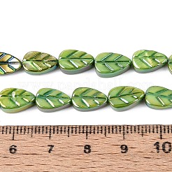 Natural Freshwater Shell Carved Beads Strands&nbsp;SHEL-N038-25C