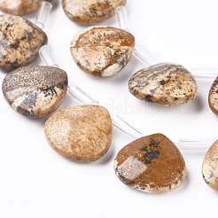 Natural Picture Jasper Beads Strands&nbsp;G-G821-04A