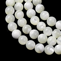 Natural Trochid Shell/Trochus Shell Beads Strands&nbsp;SH-CBA2978-16B